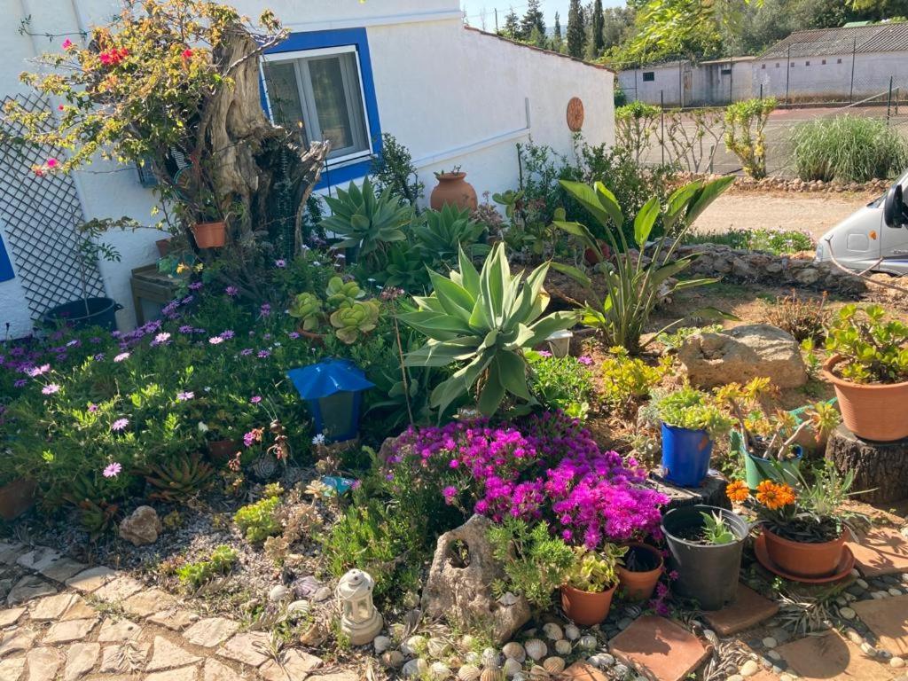 Casa Joy Guia (Faro) Exterior foto